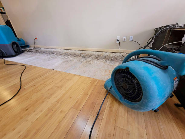 Professional Structural Drying technician working in Covington, GA